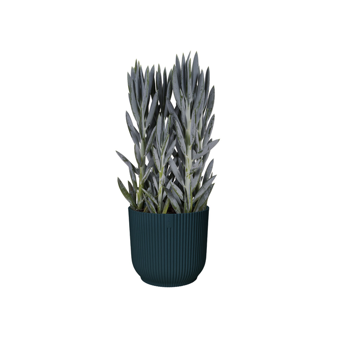 vibes fold rund 22cm tiefes blau